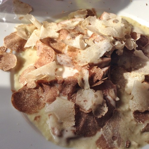 “Filletino di maiale su vellutata di cardo al tartufo bianco”