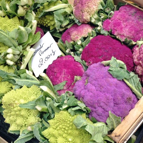 Brócolis romano e couves-flores roxas