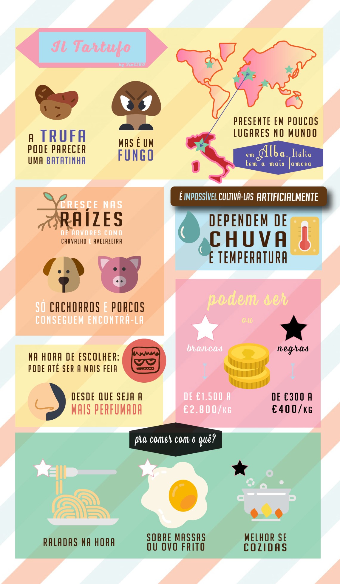 Infográfico Tartufo FloCiBO